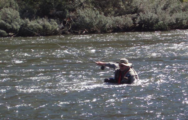 steve-swiming-Derwent.jpg