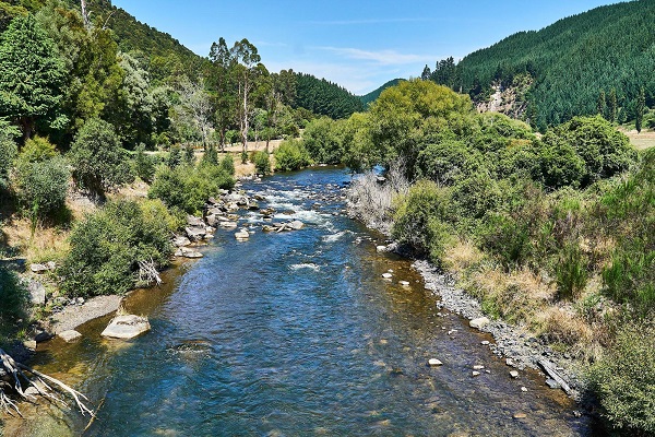 Whirinaki River Pristine water -600.jpg