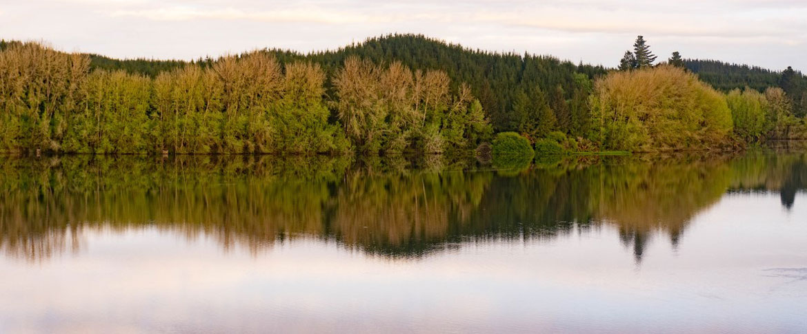 Lake-Aniwhenua-2.jpg