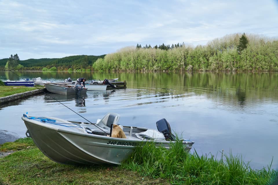 Early Morning Lake Aniwhenua.jpg