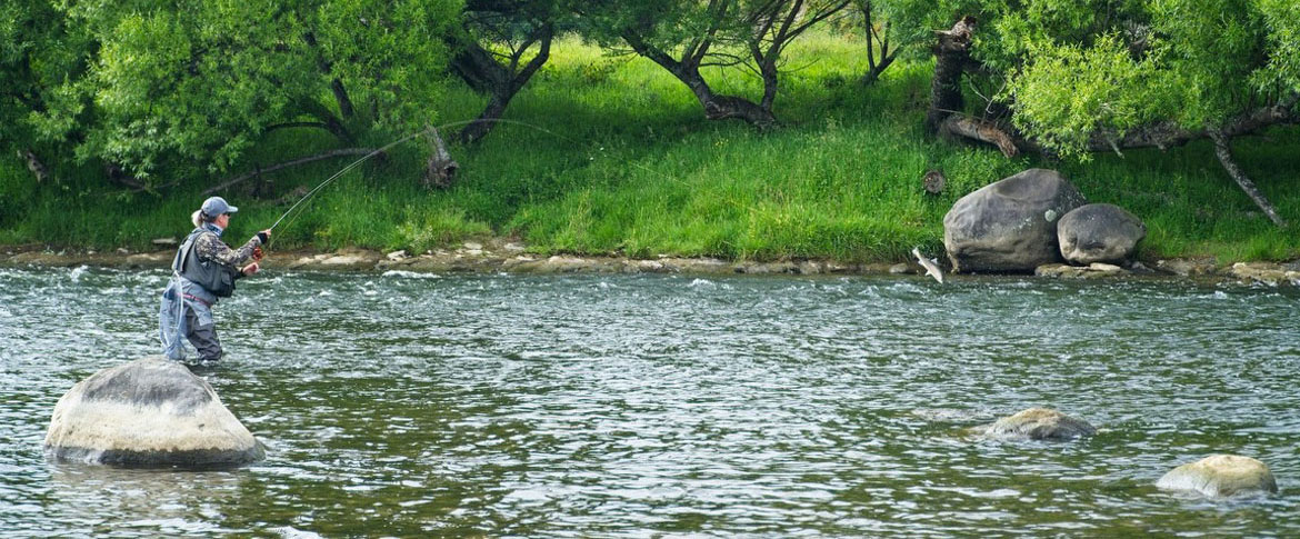 Fish-on-2.jpg