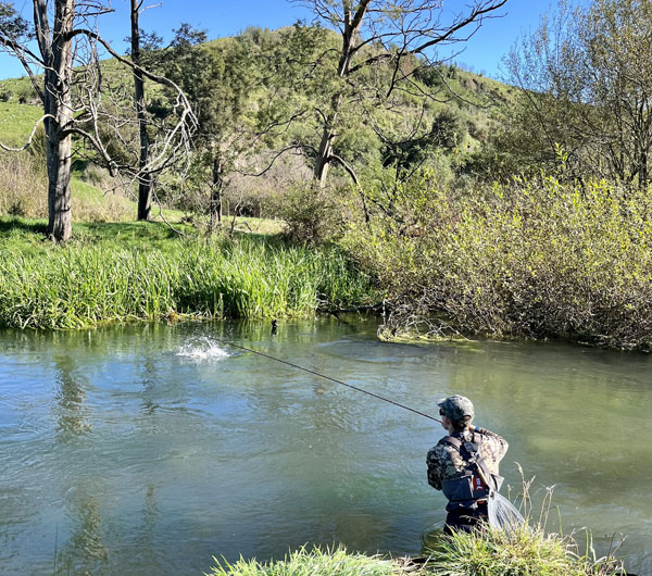 Ollie-playing-fish-600.jpg